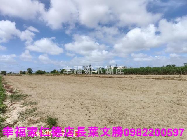 佳里農地-30