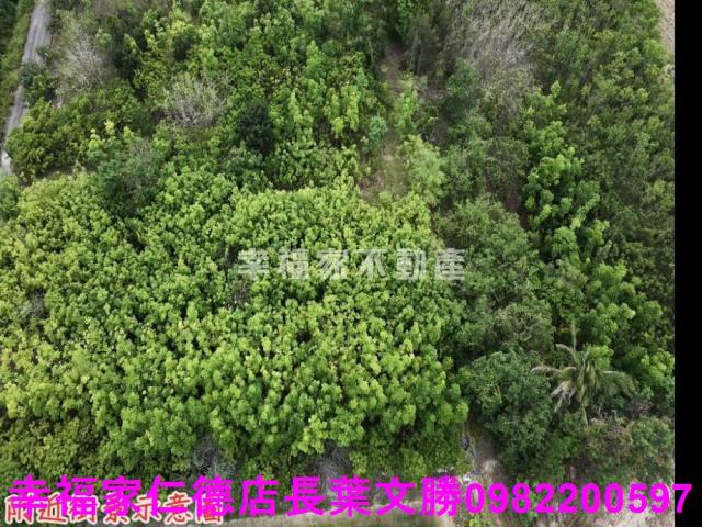 台南農地-3