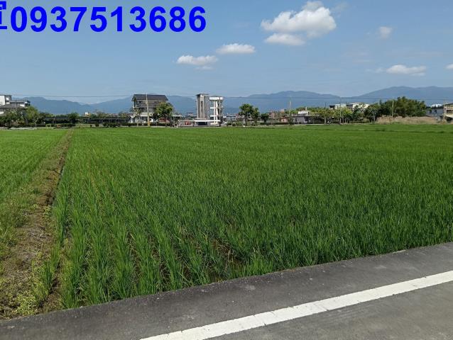 宜蘭農地-2