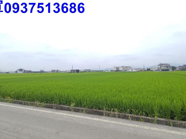 宜蘭農地-3