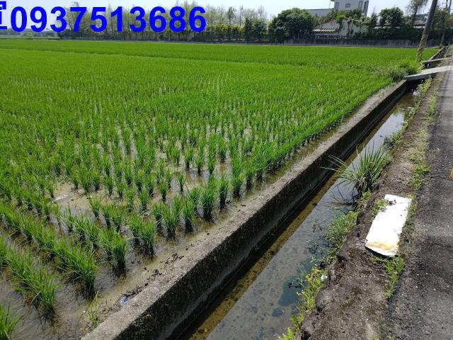宜蘭礁溪農地-10
