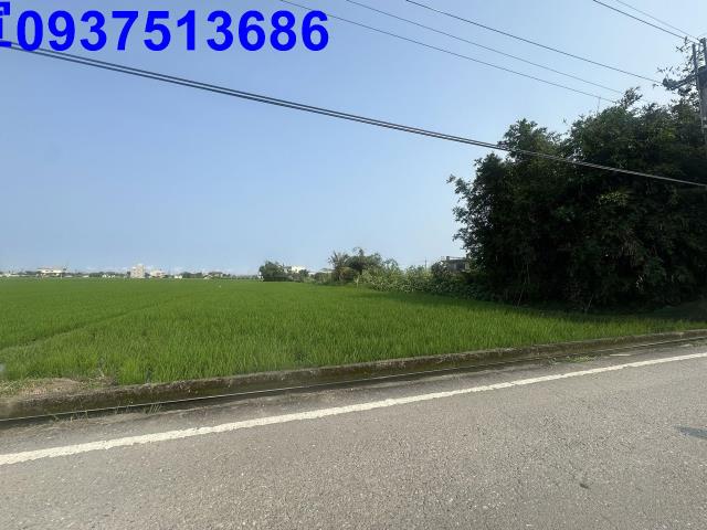 宜蘭壯圍農地-1