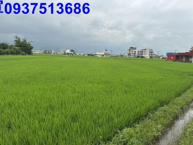 宜蘭宜蘭市農地-7