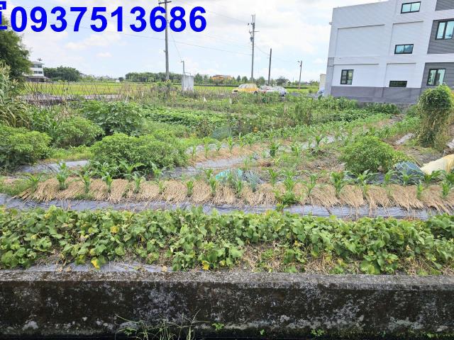 宜蘭員山農地-3