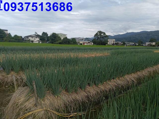 宜蘭三星農地-1