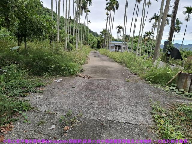 台中石岡農地-15