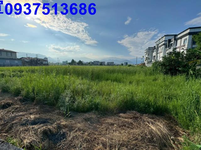 員山農地-6