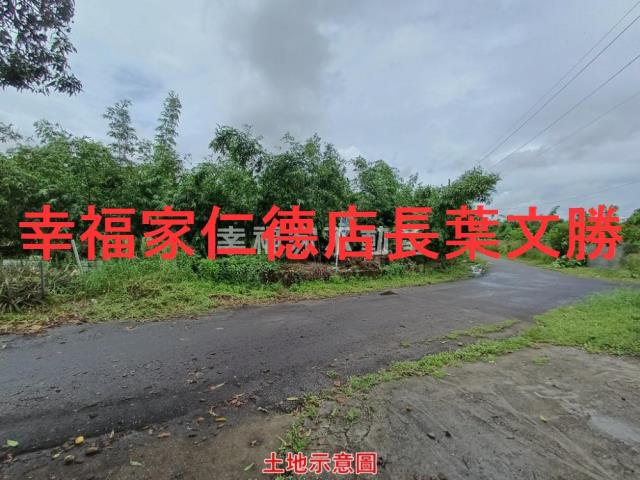 歸仁農地-10