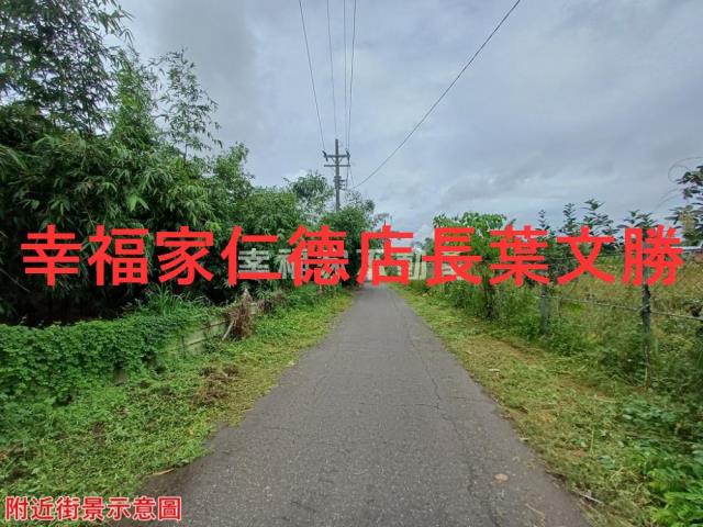 歸仁農地-11