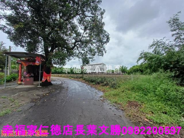 歸仁農地-13