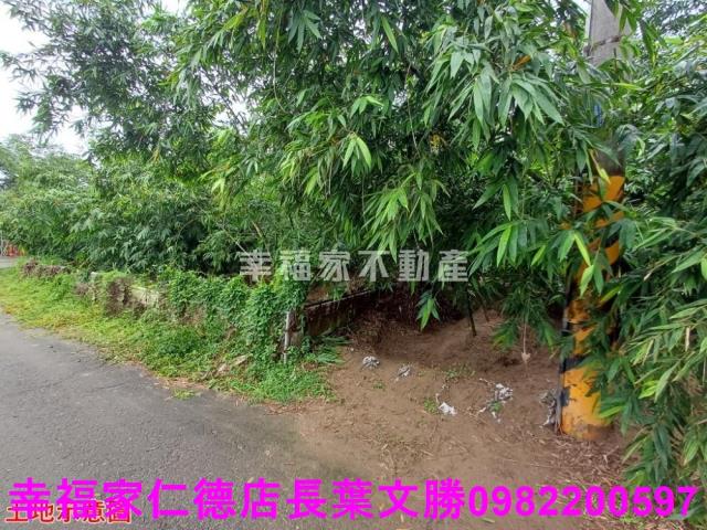 歸仁農地-7