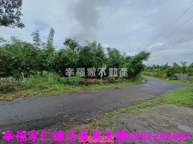 歸仁農地-8