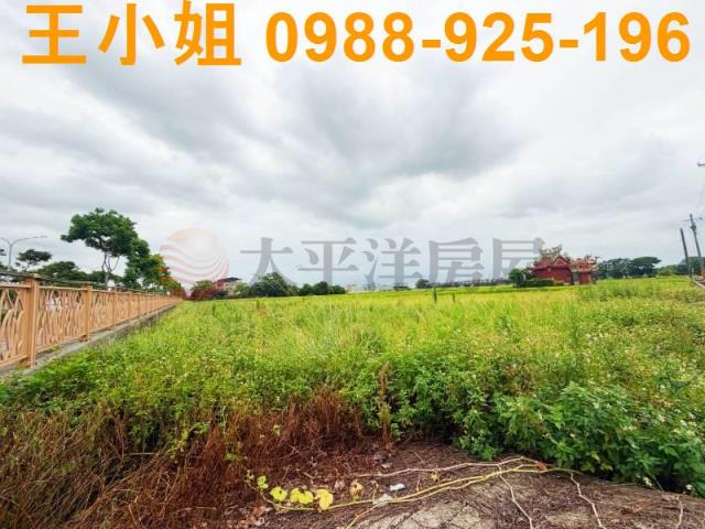 桃園中壢農地-2
