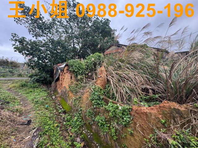 桃園蘆竹建地-5