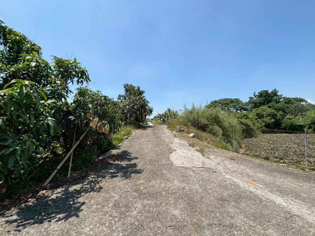 嘉義大林農地-6
