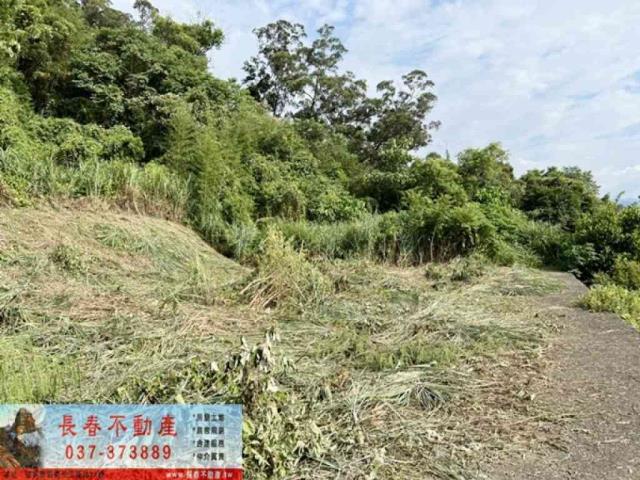 苗栗公館農地-4