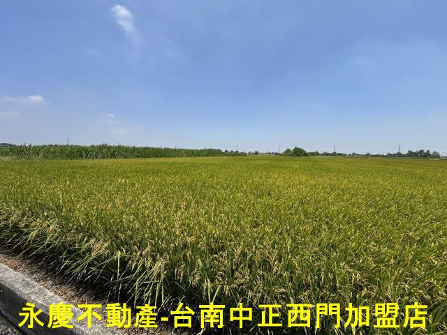 台南柳營農地-2