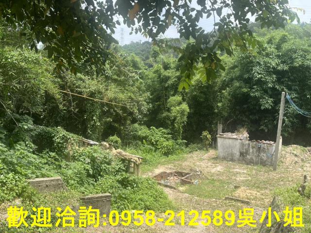 新竹新埔建地-5