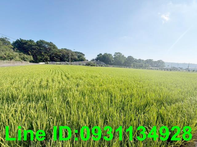 台中農地-1