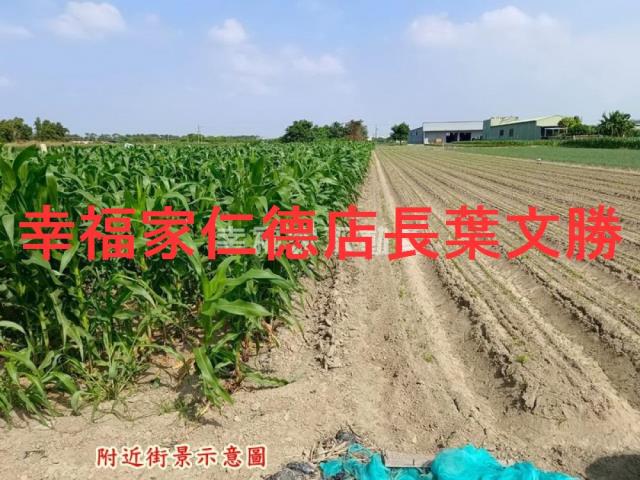 台南安定農地-9