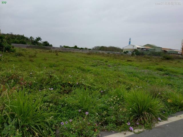 高雄仁武農地-2