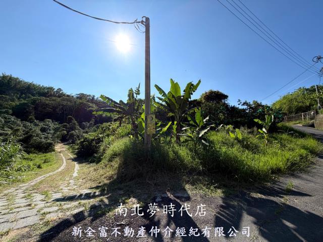 新化林地-3