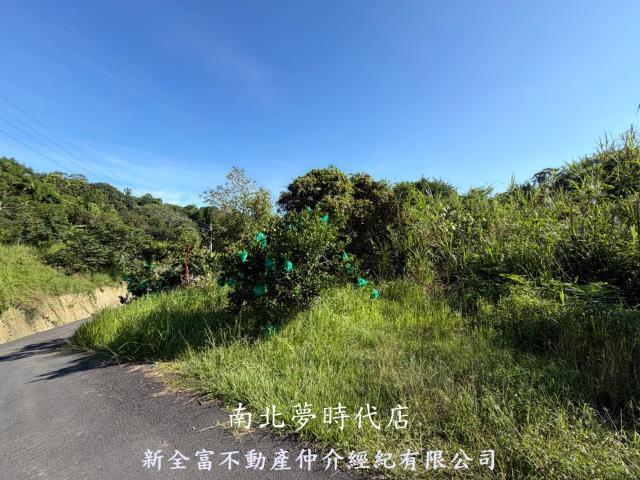 新化林地-6
