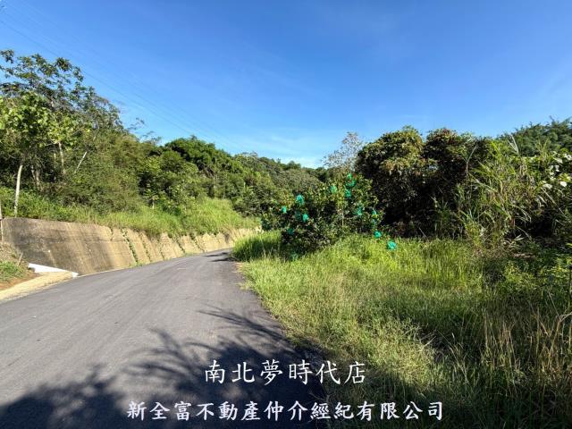新化林地-7