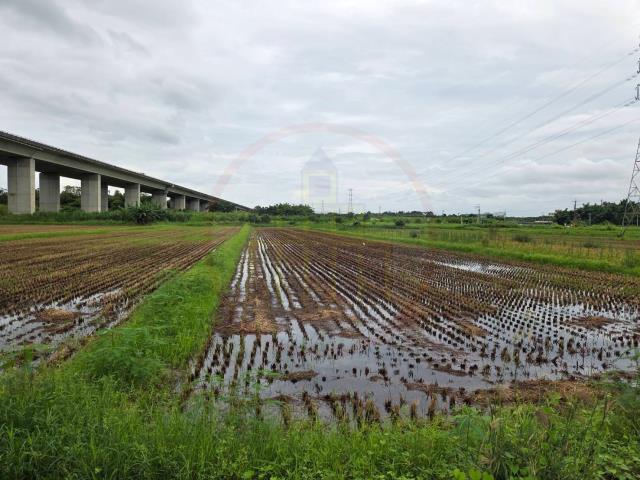 官田農地-10