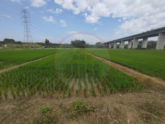 官田農地-4