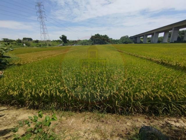 官田農地-1