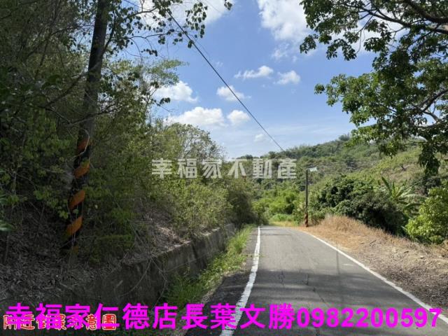 玉井農地-10