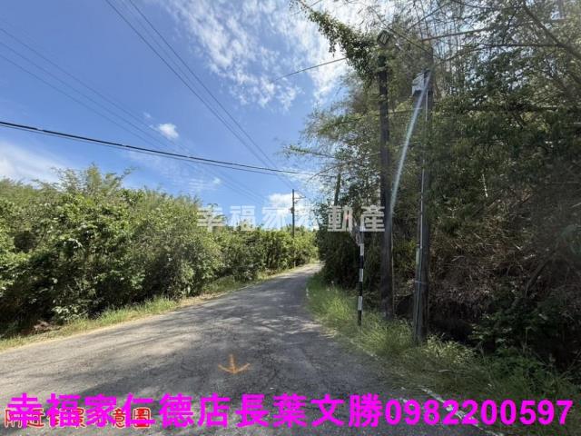 玉井農地-2