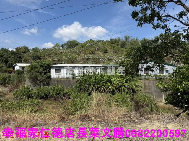 玉井農地-3