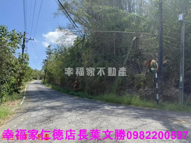 玉井農地-7