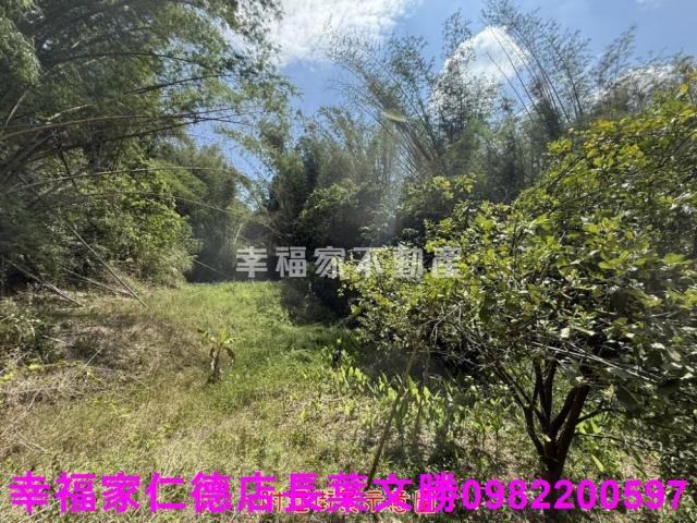 玉井農地-8