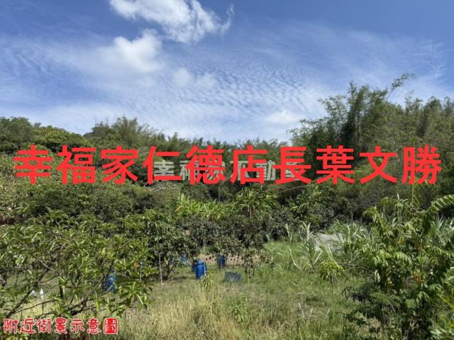 玉井農地-13