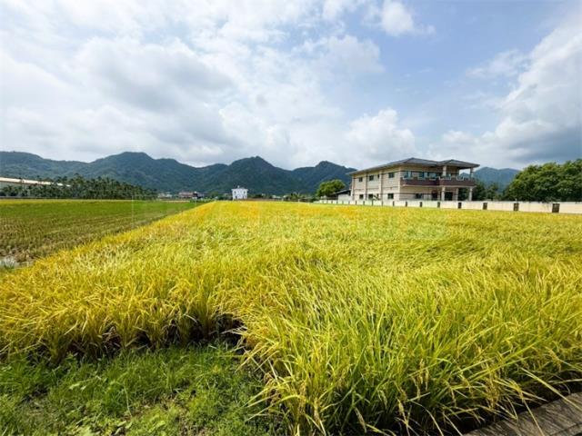高雄美濃農地-6