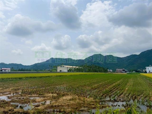 高雄美濃農地-7