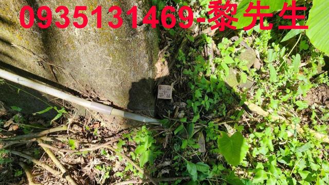 芎林林地-13