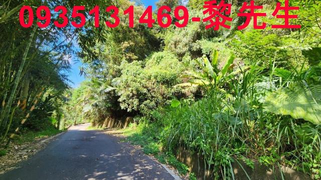 芎林林地-9