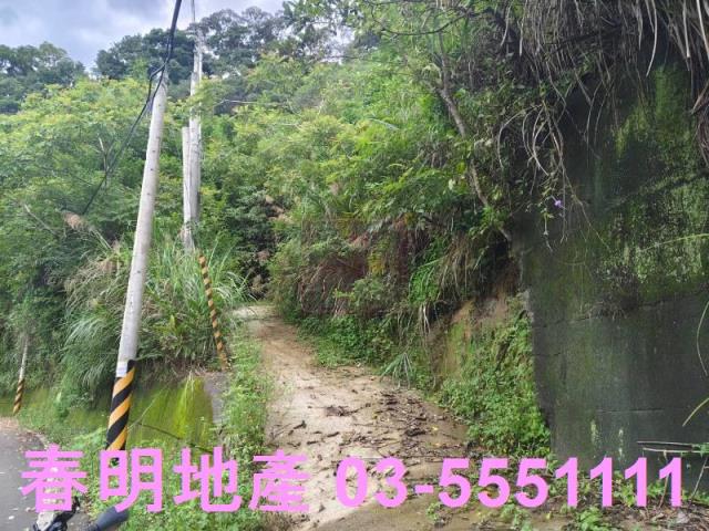 關西農地-5