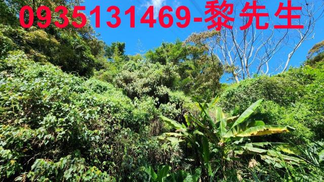 芎林林地-12