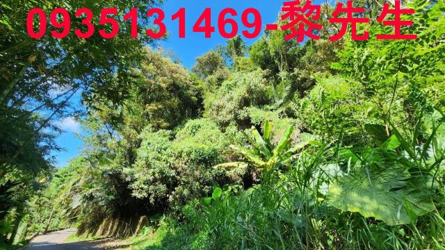 芎林林地-4