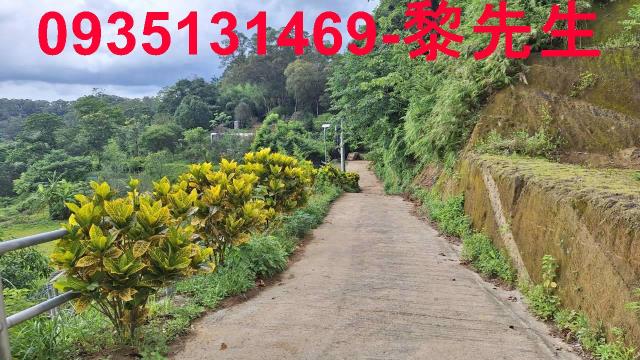 寶山林地-12