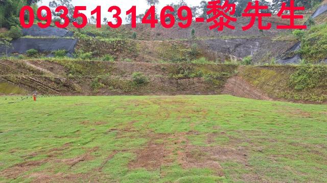 寶山林地-4