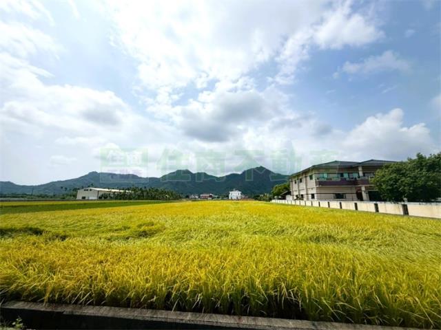 美濃農地-2