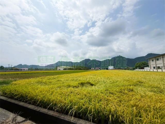 美濃農地-9