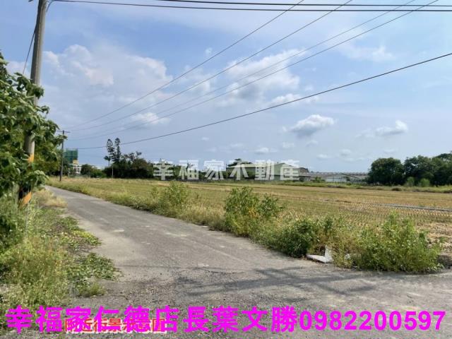 台南農地-8