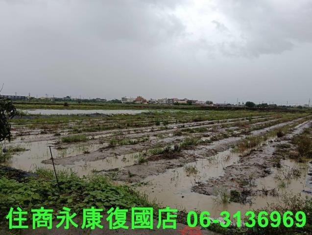 台南鹽水農地-10